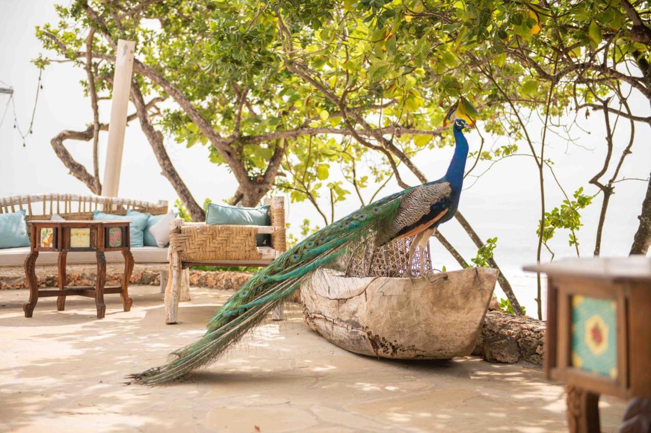 Chale Island Station touristique 4*